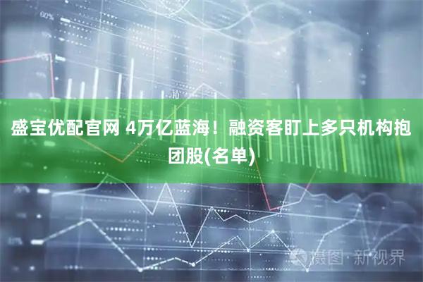 盛宝优配官网 4万亿蓝海！融资客盯上多只机构抱团股(名单)