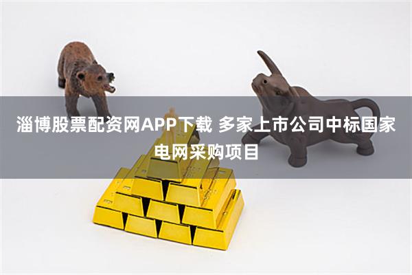 淄博股票配资网APP下载 多家上市公司中标国家电网采购项目
